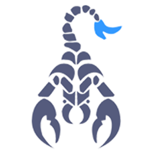 Scorpion Shoes