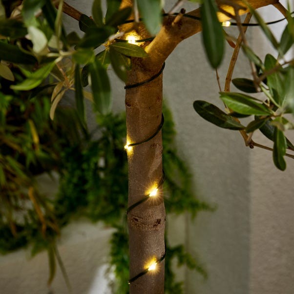 Green Copper 50 LED String Lights