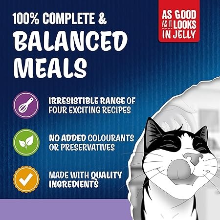 FELIX As Good As it Looks Senior 7+ Mixed in Jelly Wet Cat Food 120x85g