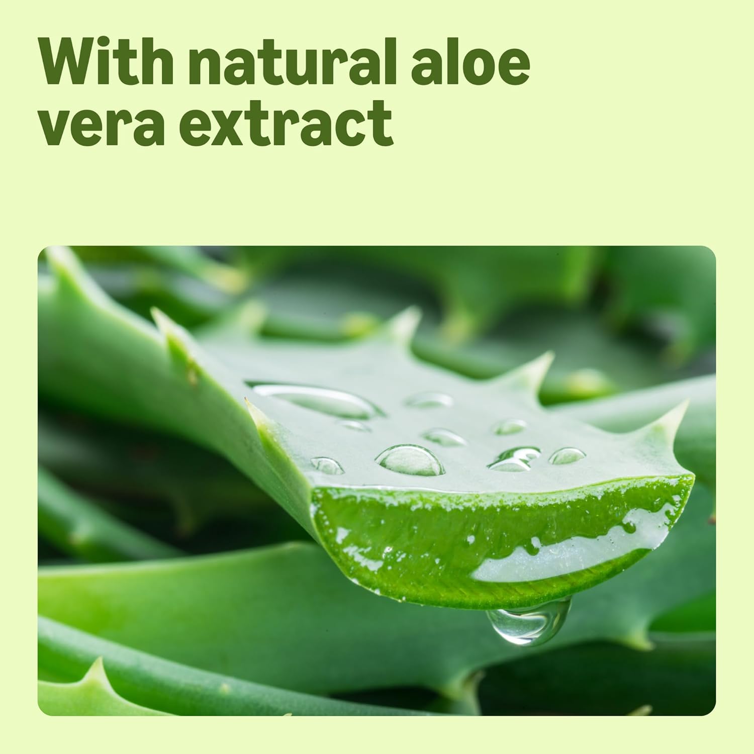 Amazon Aloe Vera Hand Soap Refill, 2 x 1000ml