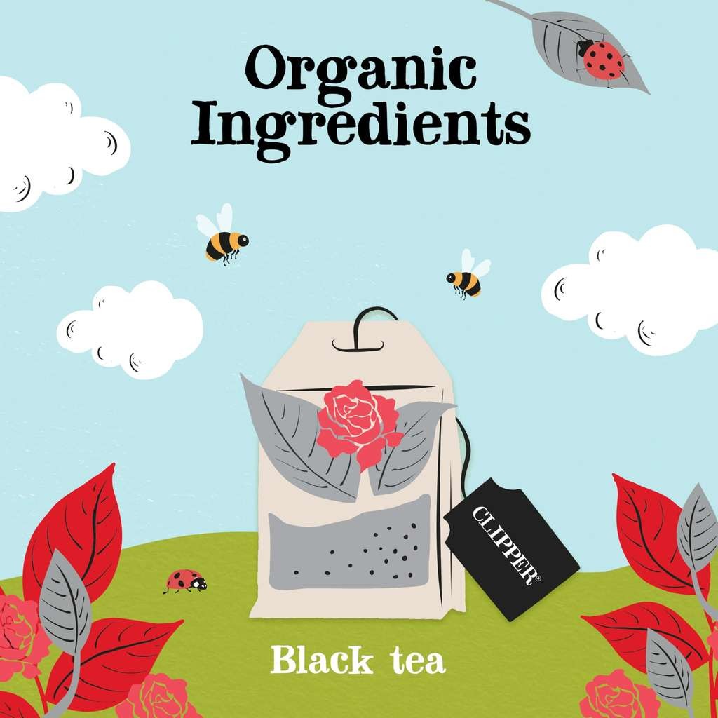 Clipper Organic Fairtrade English Breakfast Black Tea, 6 x 25 Teabags, Bulk Catering Pack