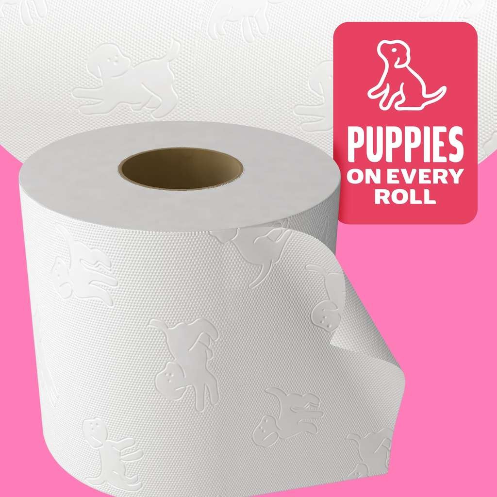 Andrex Family Soft Toilet Roll, 45 Toilet Rolls, Bulk Buy