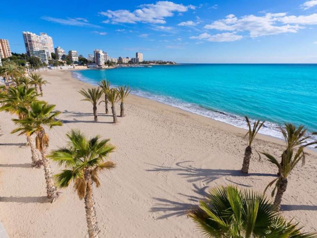 TUI Return Flights Ibiza or Alicante from LGW or Birmingham, 10kg Hand Luggage, Adult £29, Child £14 Rtn, Early Sep