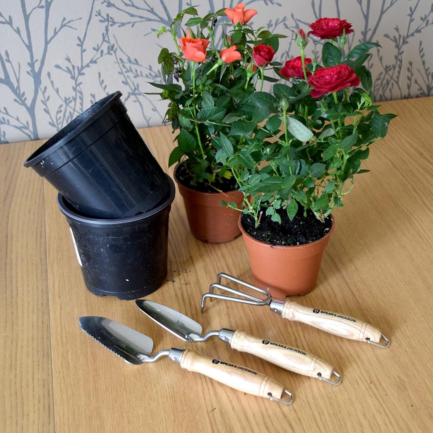 Spear and Jackson POTTING3PS 3 Piece Stainless Potting Tool Set