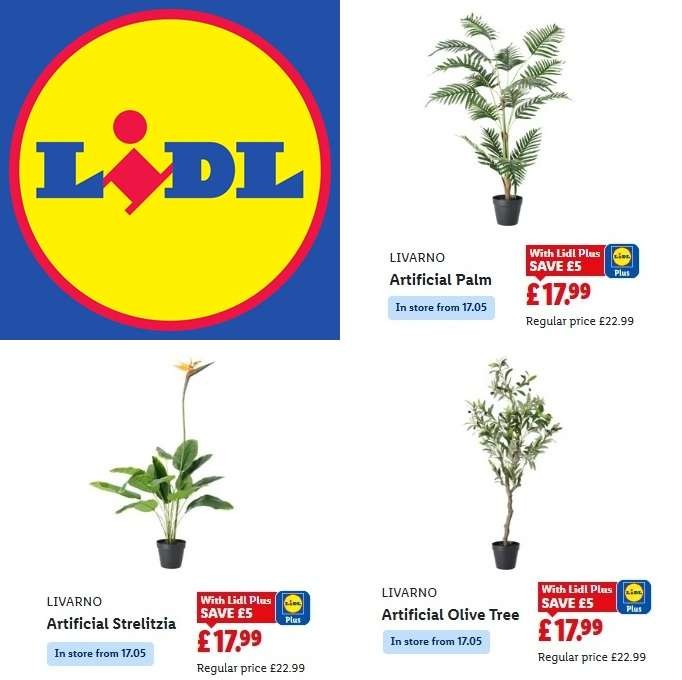 Livarno artificial plants, choice of Olive, Strelitzia, Palm (100-125cm), Lidl Plus price