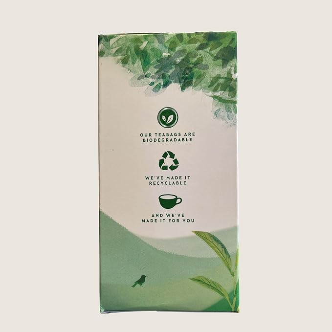 Thompson's - Green Tea 12 x 40 Teabags
