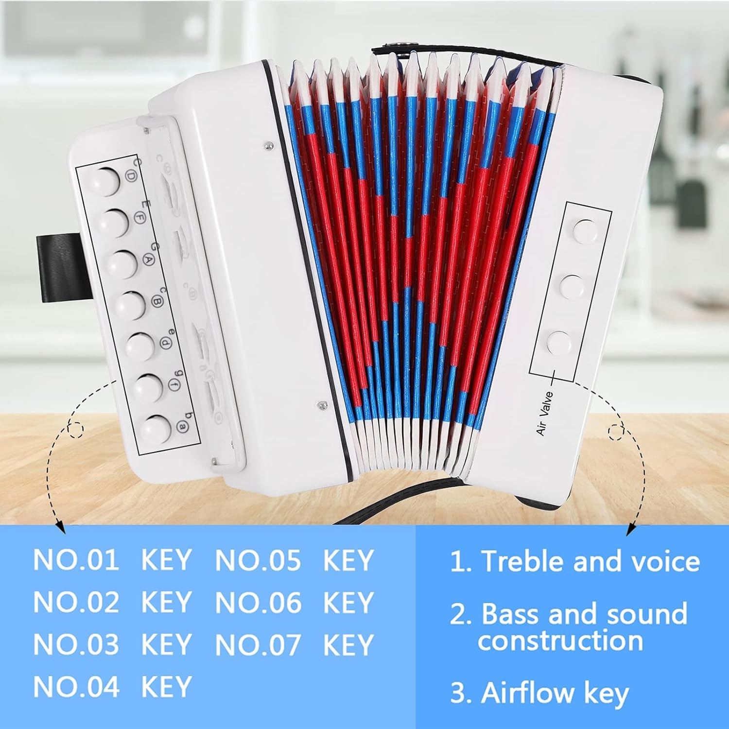 Sunydog Accordion, 10 Keys Control, ABS Material, Black