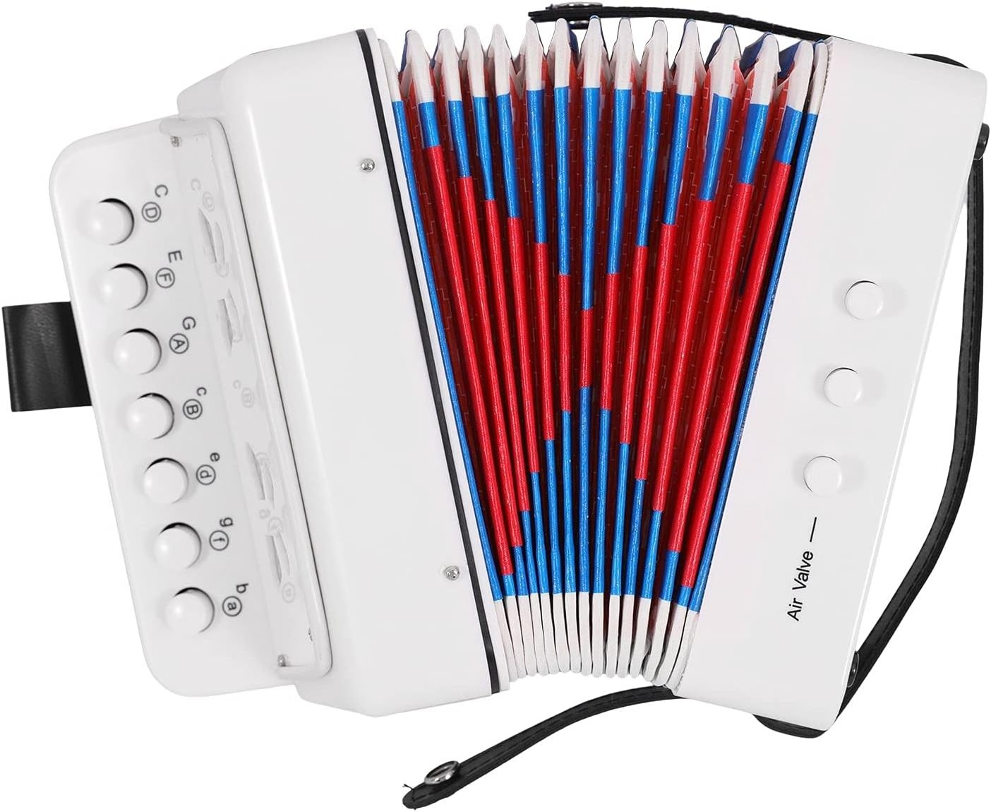 Sunydog Accordion, 10 Keys Control, ABS Material, Black