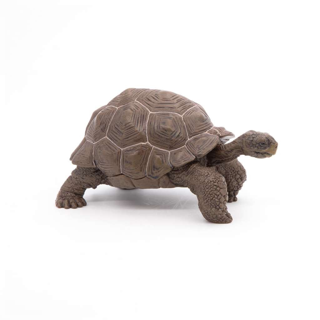 Papo realistic Galapagos Tortoise figure, looks good