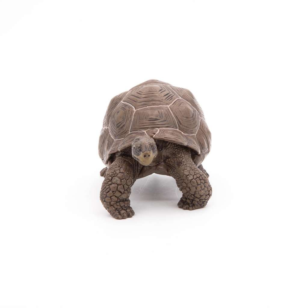 Papo realistic Galapagos Tortoise figure, looks good
