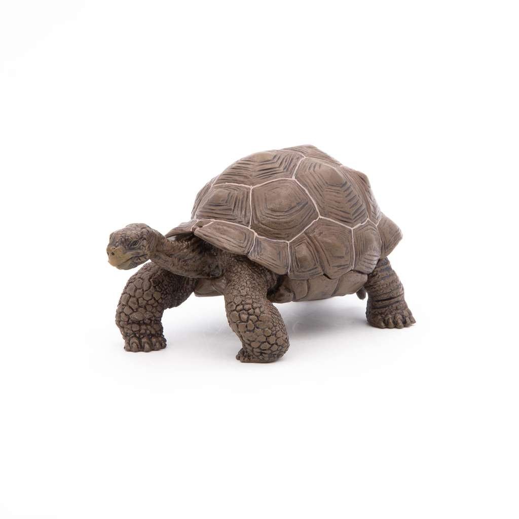 Papo realistic Galapagos Tortoise figure, looks good