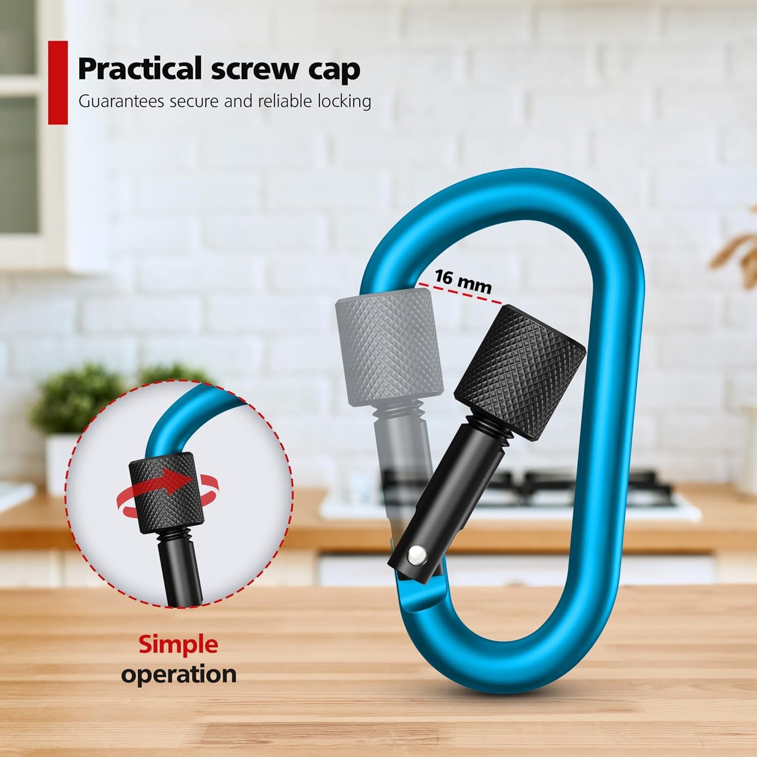 RAVN HAMAN 10 x Locking carabiner, colourful, with screw lock up to 30 kg, snap hooks for indoor and outdoor, for hammocks, punching bags, key rings