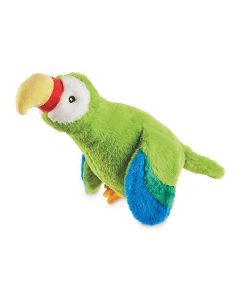 Honking Bird