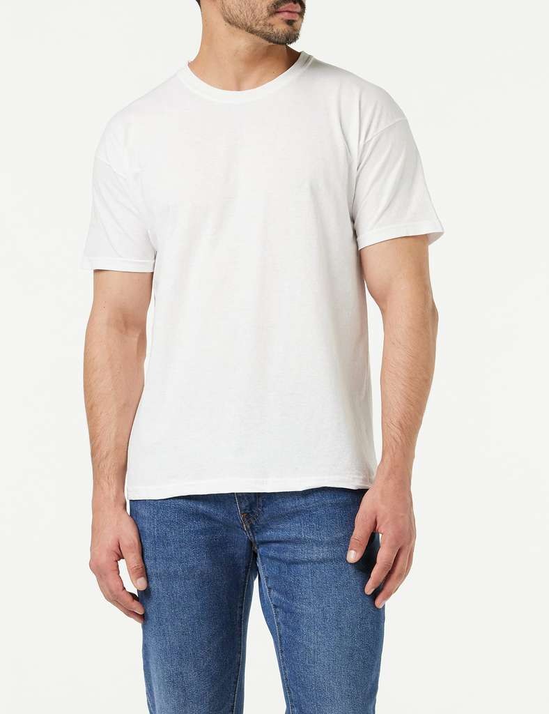 Fruit of the Loom men's original T-shirts, 5-pack, sizes S-XXL