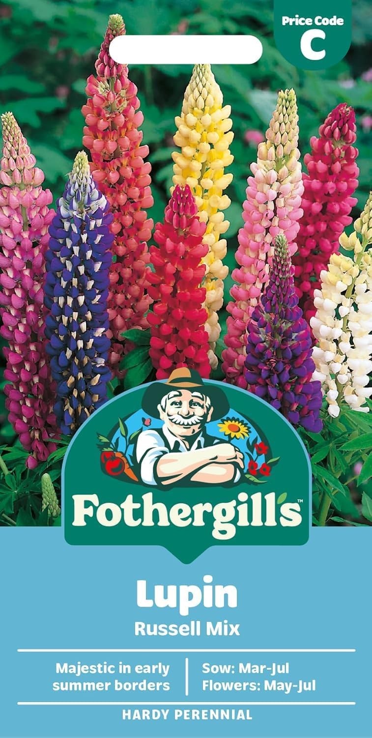 Fothergill's Lupin Russell Mixed Flower Seeds, 75 Seeds, Sow: Mar-Jul, Purple/Blue