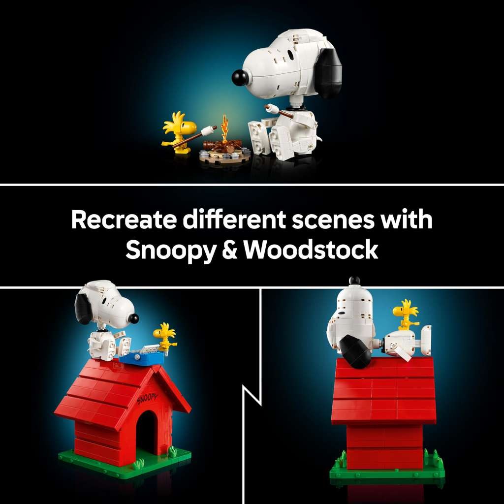 LEGO Ideas Peanuts Snoopy's Doghouse 21368, quite a nice build