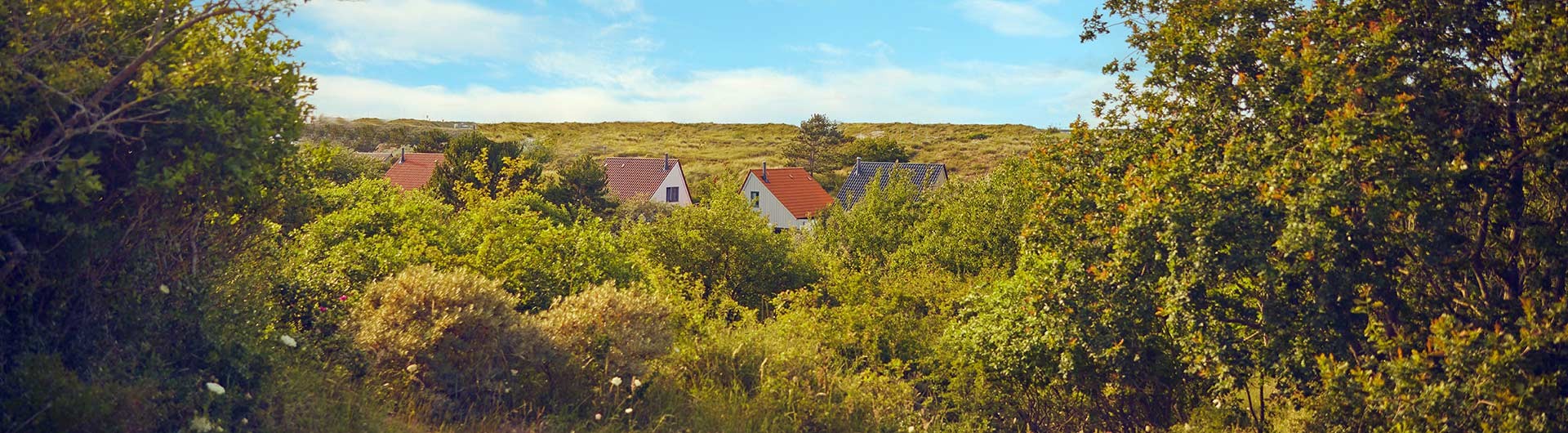 Park Zandvoort Cottages