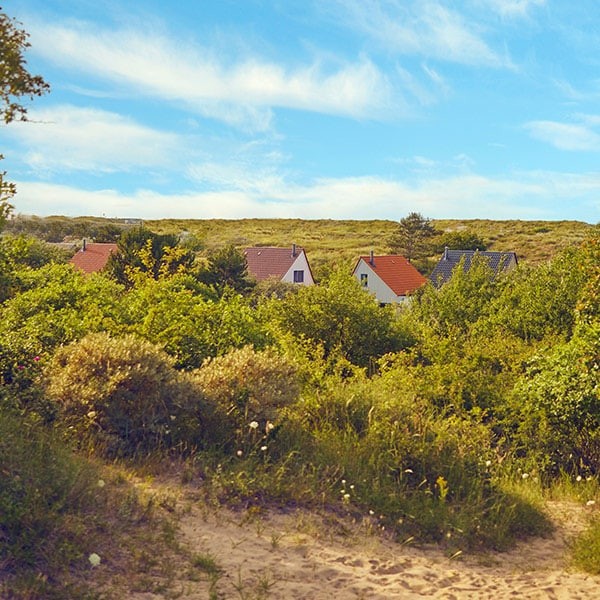 Park Zandvoort Cottages