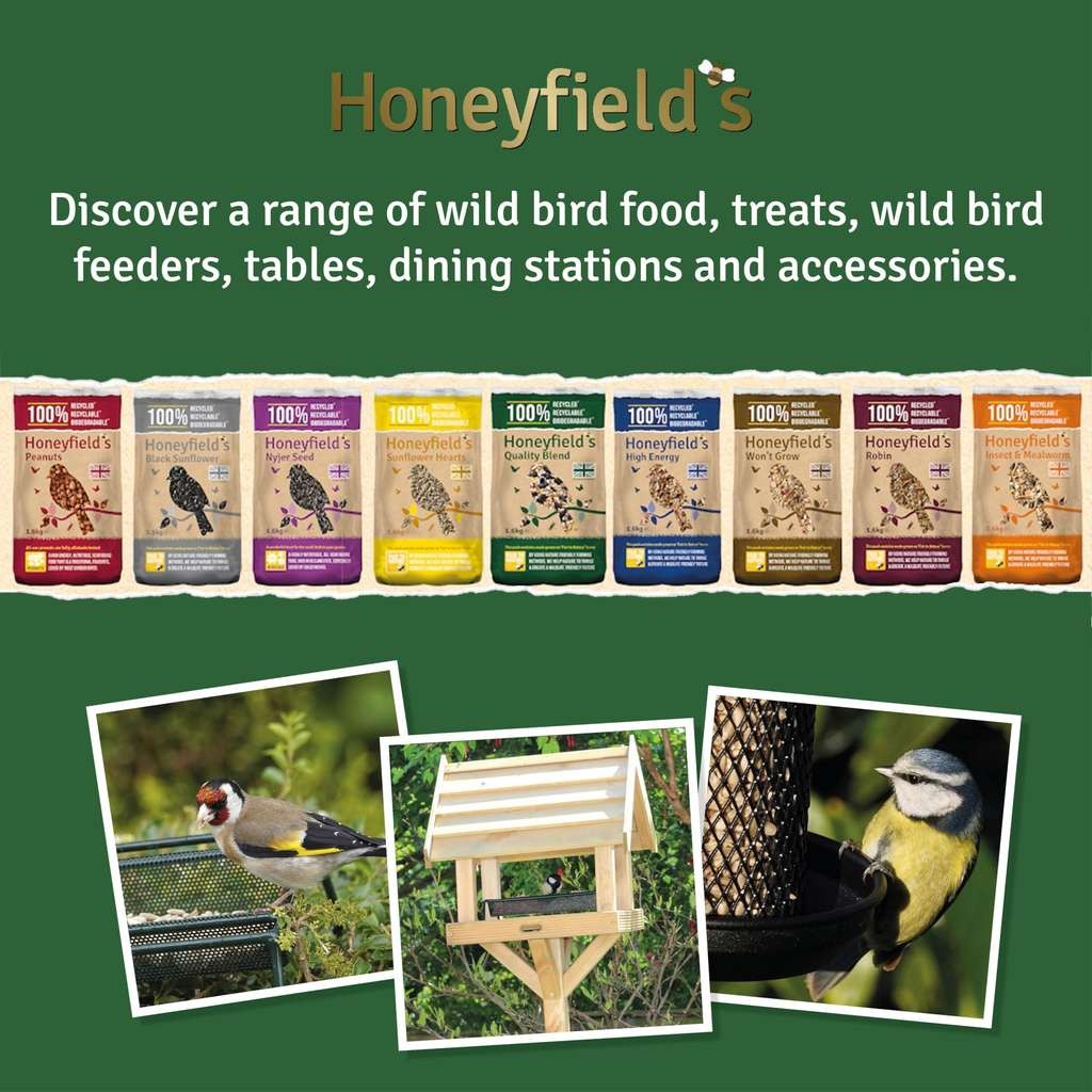Honeyfield's wild bird seed mix, 1.6kg, £2.65 S&S. Wheat & black sunflower